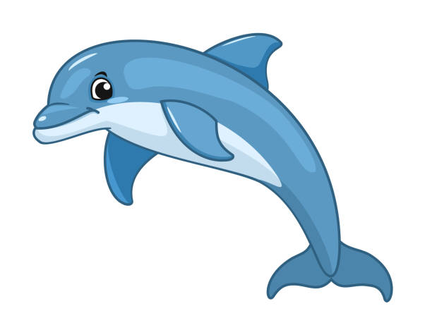 Dolphin